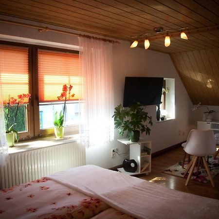 شقة Gaestezimmer Im Gruenen Haus Thum المظهر الخارجي الصورة